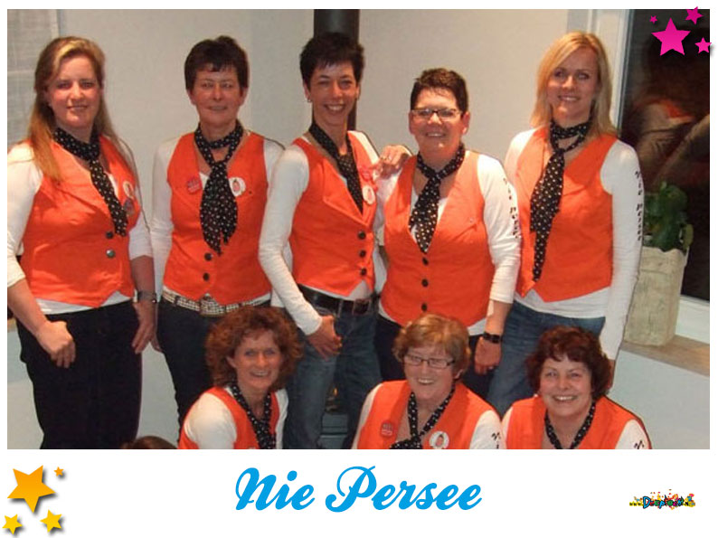 Uitgelicht Nie Persee Moesland