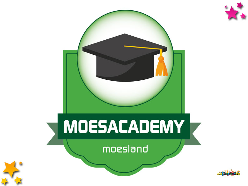 Leer bouwen als de beste: Moesacademy Moesland