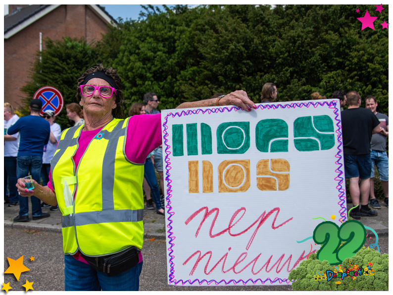 ideeën optocht Moesland